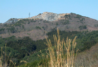 ������ ���ΎR